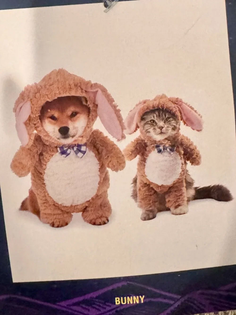 Moonlight Manor Bunny Teddy Bear Walking Front Suit Dog Costume Brown Size Small